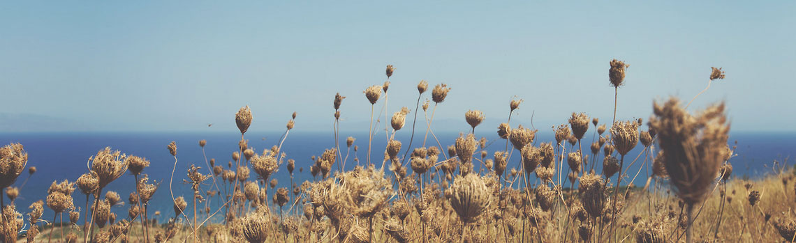 在线DDOS平台攻击